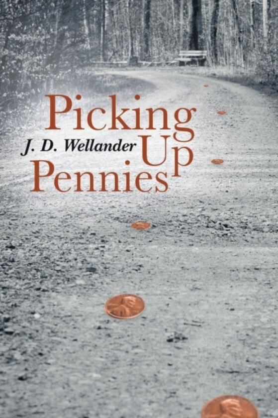 Picking Up Pennies av J D Wellander (Paperback)