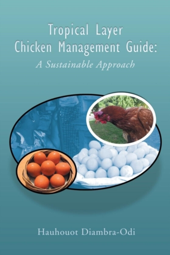 Tropical Layer Chicken Management Guide av Hauhouot Diambra-Odi (Paperback)
