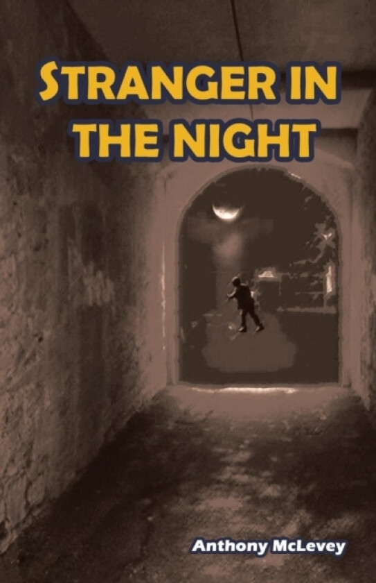 Stranger in the Night av Anthony McLevey (Paperback)