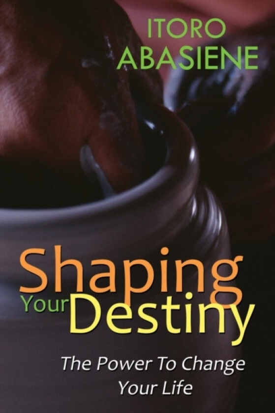 Shaping Your Destiny av Itoro Abasiene (Paperback)