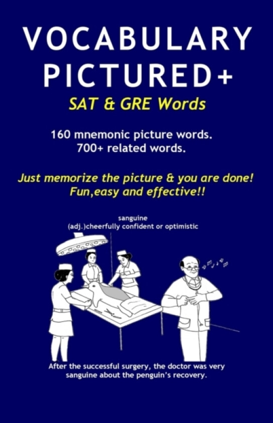 Vocabulary Pictured+ av Sudhir Shirwadkar (Paperback)
