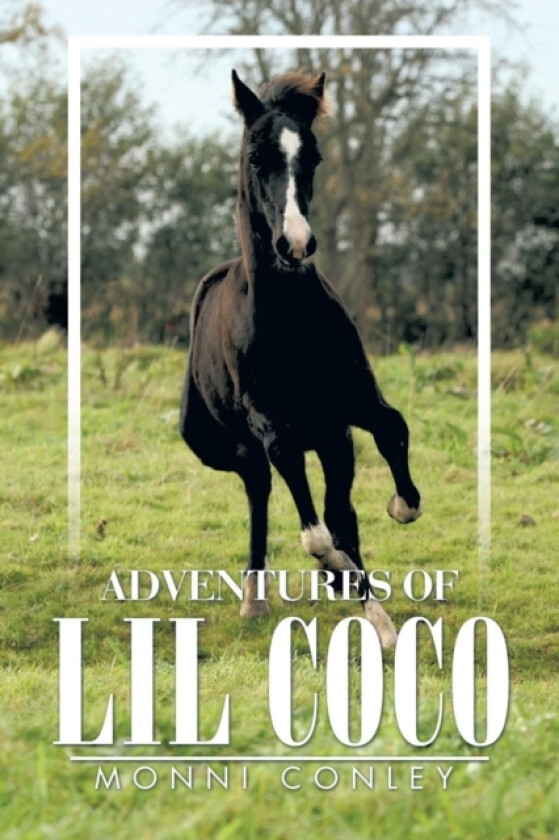 Adventures of Lil Coco av Monni Conley (Paperback)