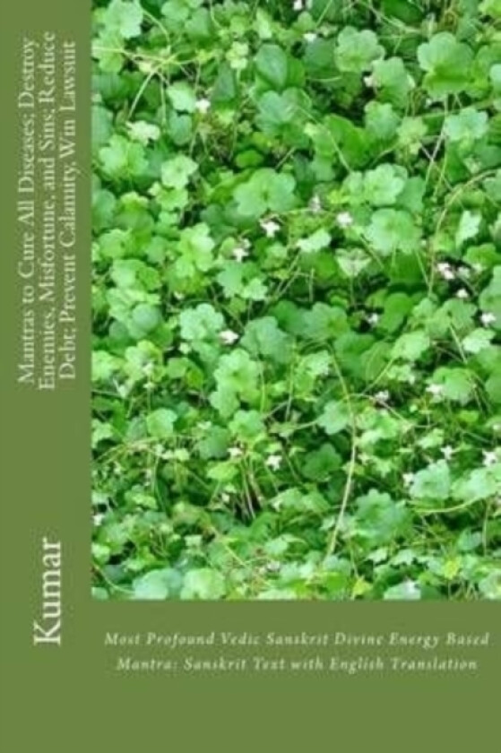 Mantras to Cure All Diseases; Destroy Enemies, Misfortune, and Sins; Reduce Debt; Prevent Calamity, Win Lawsuit av Professor Kumar (Paperback)