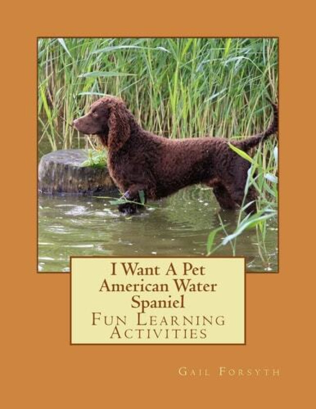 I Want A Pet American Water Spaniel av Gail Forsyth (Paperback)
