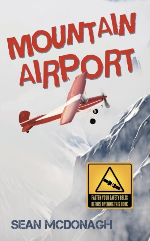 Mountain Airport av Sean McDonagh (Paperback)