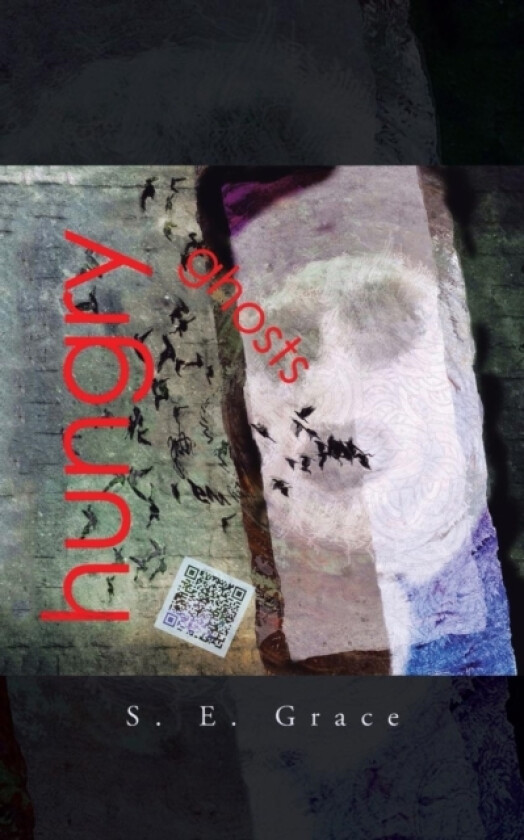 Hungry Ghosts av S E Grace (Paperback)