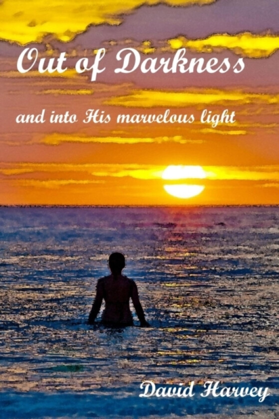 Out of Darkness av David P Harvey (Paperback)