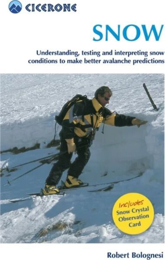 Snow av Robert Bolognesi