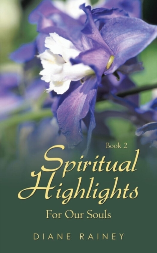 Spiritual Highlights For Our Souls av Diane Rainey (Paperback)