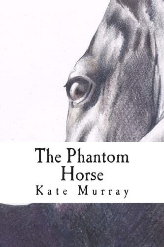 The Phantom Horse: A Selection of Short Stories av Kate Murray (Paperback)