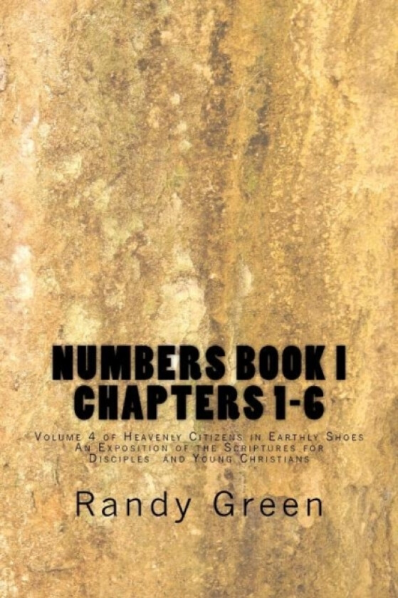 Numbers Book I av Randy Green (Paperback)