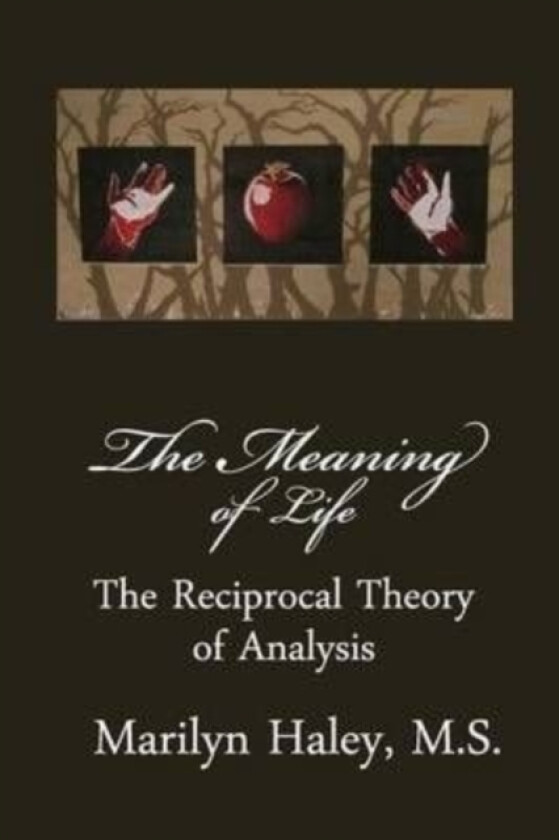 The Meaning of Life av Marilyn M Haley (Paperback)
