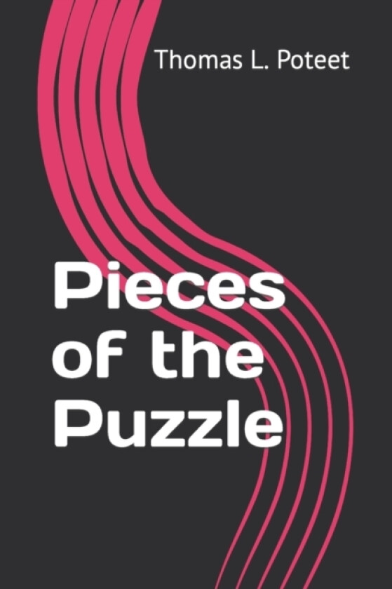 Pieces of the Puzzle av Thomas L Poteet (Paperback)
