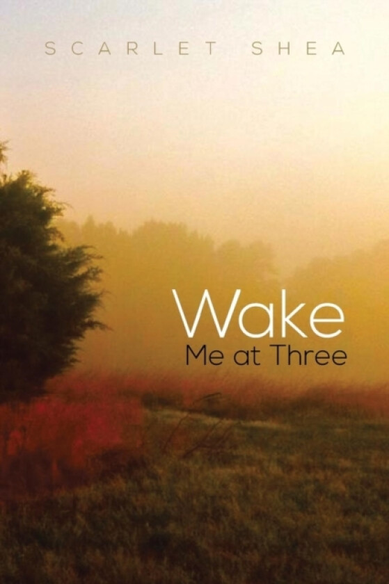 Wake Me at Three av Scarlet Shea (Paperback)