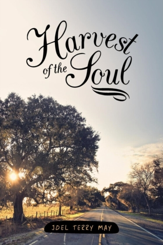 Harvest of the Soul av Joel Terry May (Paperback)