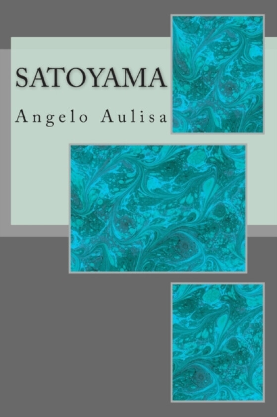 Satoyama av Angelo Aulisa, Atmo Manyk (Paperback)