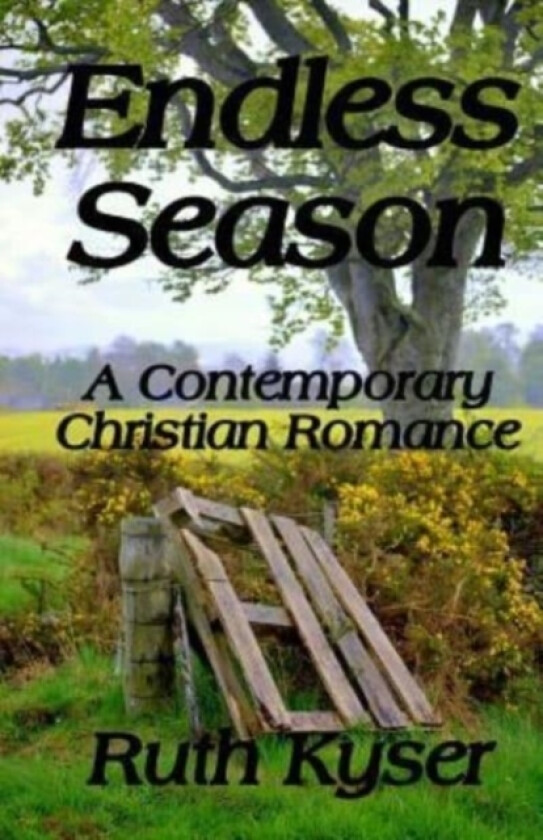 Endless Season av Ruth Kyser (Paperback)