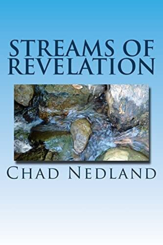 Streams of Revelation av Chad J Nedland (Paperback)