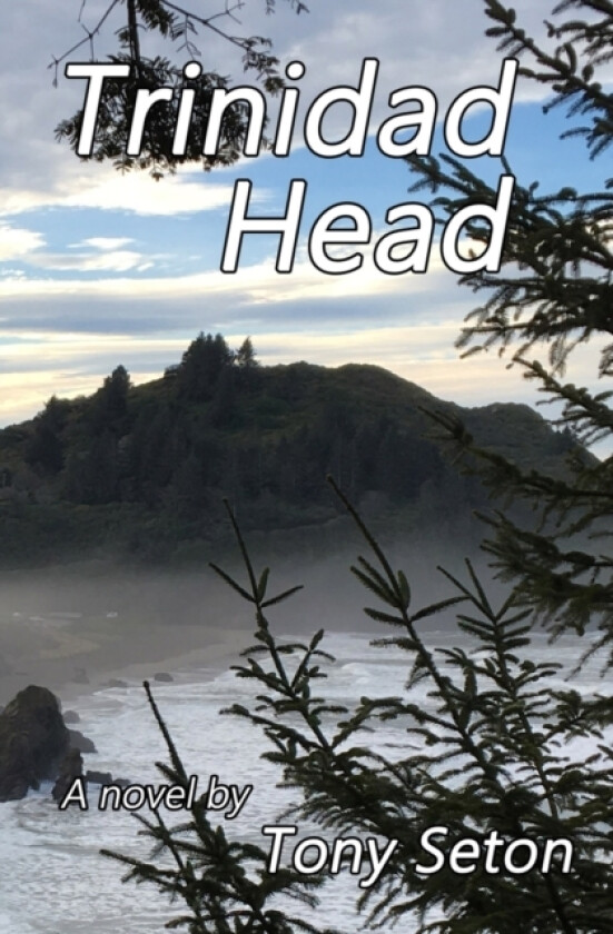 Trinidad Head av Tony Seton (Paperback)