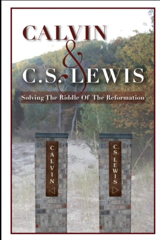 Calvin & C. S. Lewis av Jordan C Ferrier (Paperback)