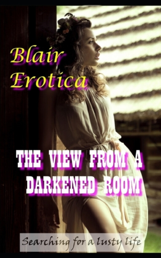 The View From a Darkened Room av Blair Erotica (Paperback)