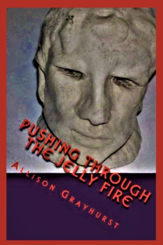 Pushing Through the Jelly Fire av Allison Grayhurst (Paperback)