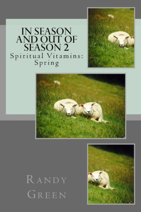 In Season and Out of Season 2 av Randy Green (Paperback)