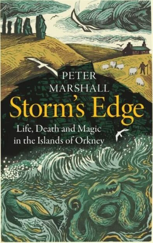 Storm¿s Edge av Peter Marshall