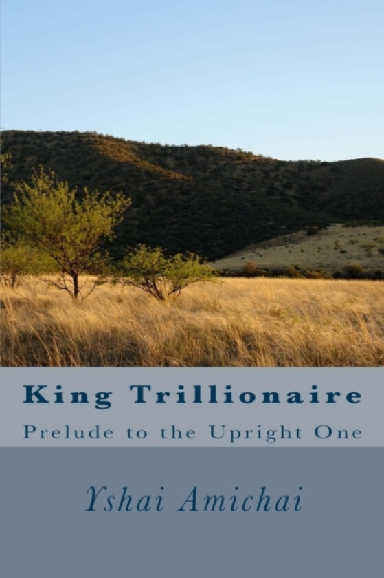 King Trillionaire av Yshai Amichai (Paperback)