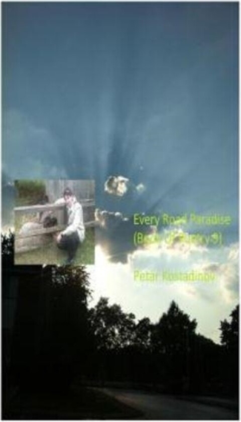 Every Road Paradise(Book Of Poetry 9) av Petar Kostadinov (Paperback)