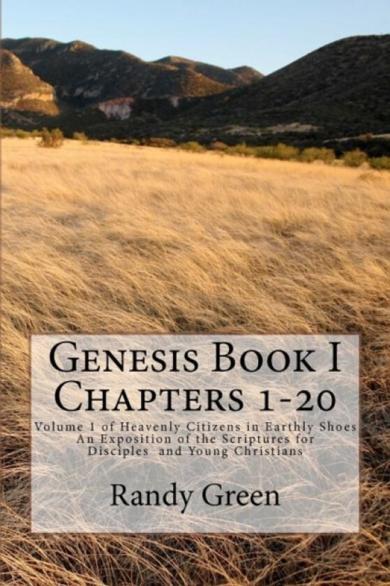 Genesis Book I av Randy Green (Paperback)