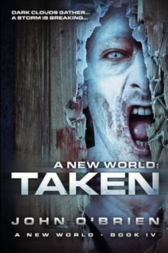 A New World av John O'Brien (Paperback)