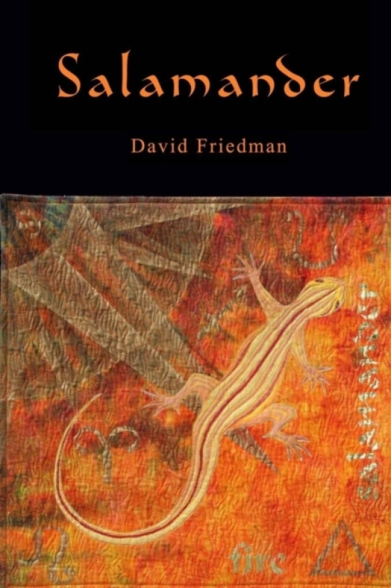 Salamander av David D Friedman (Paperback)