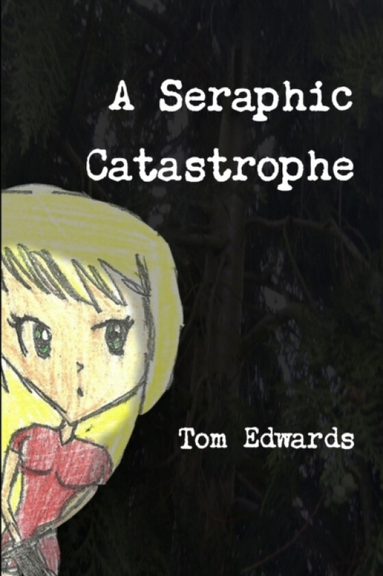A Seraphic Catastrophe av Tom Edwards (Paperback)