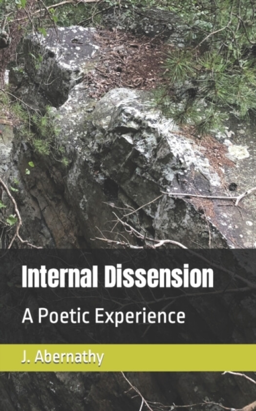 Internal Dissension av J T Abernathy (Paperback)