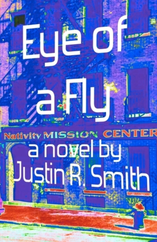 Eye of a Fly av Justin R Smith (Paperback)