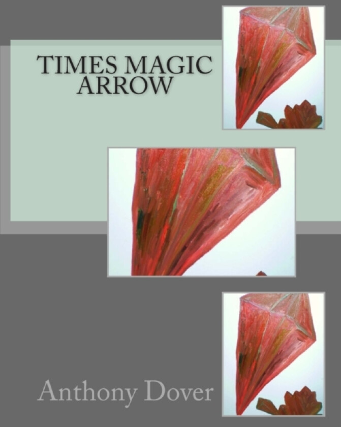 Times Magic Arrow av Anthony Dover (Paperback)