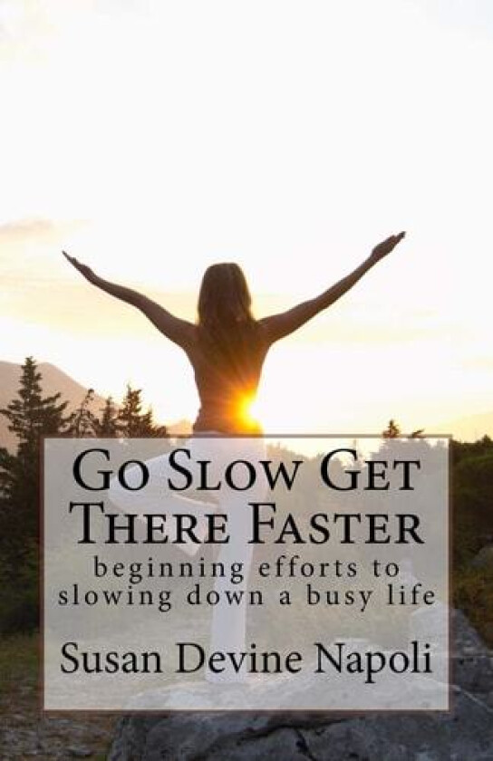 Go Slow Get There Faster av Susan Devine Napoli (Paperback)