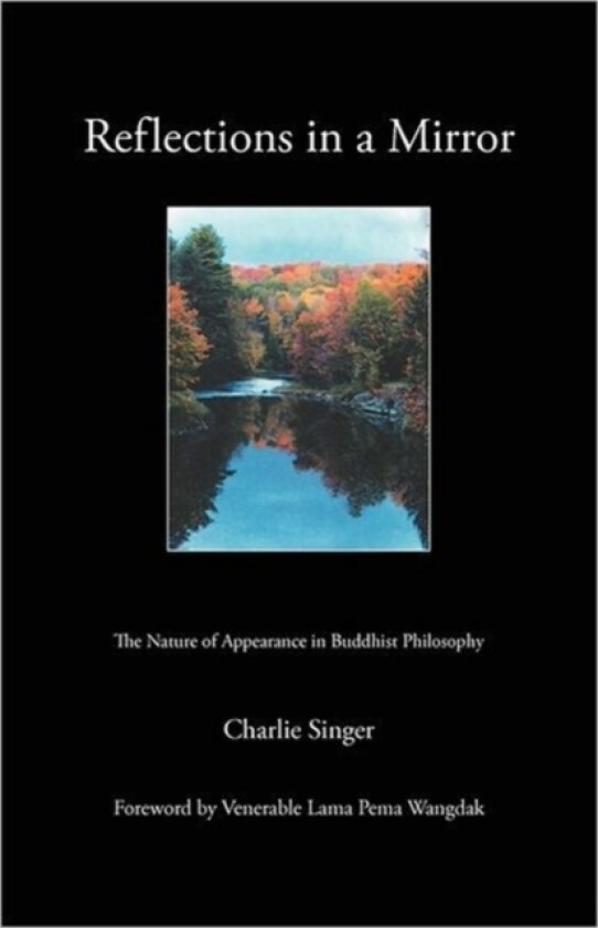 Reflections in a Mirror av Charlie Singer (Paperback)