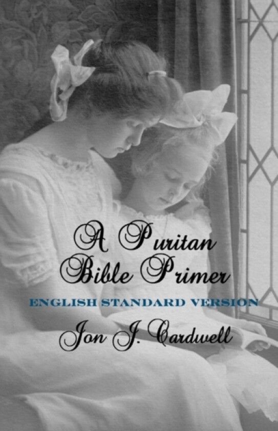 A Puritan Bible Primer av Jon J Cardwell (Paperback)