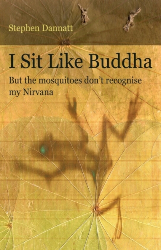 I Sit Like Buddha av Stephen Dannatt (Paperback)