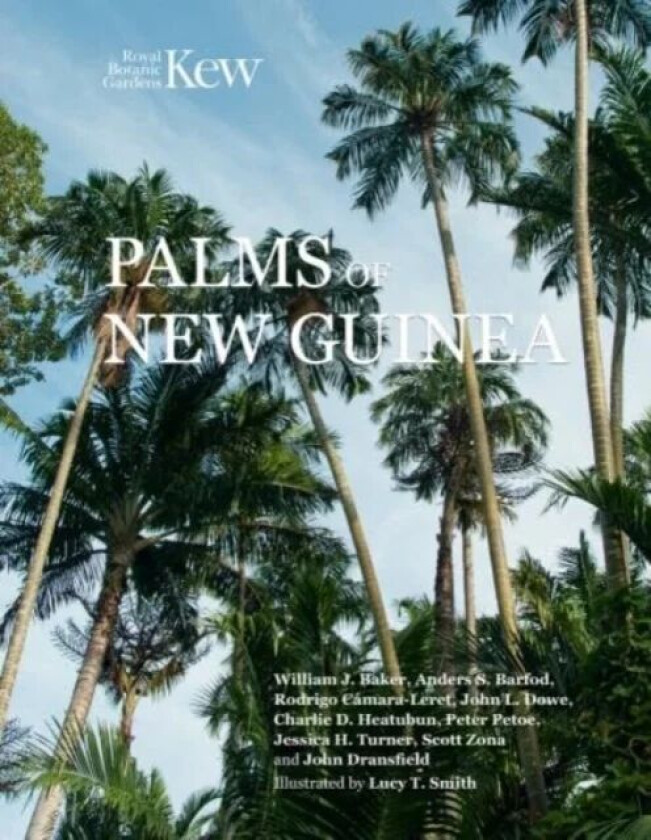 Palms Of New Guinea