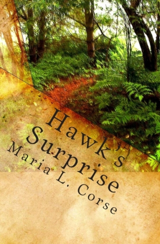 Hawks Surprise av Maria L Corse (Paperback)