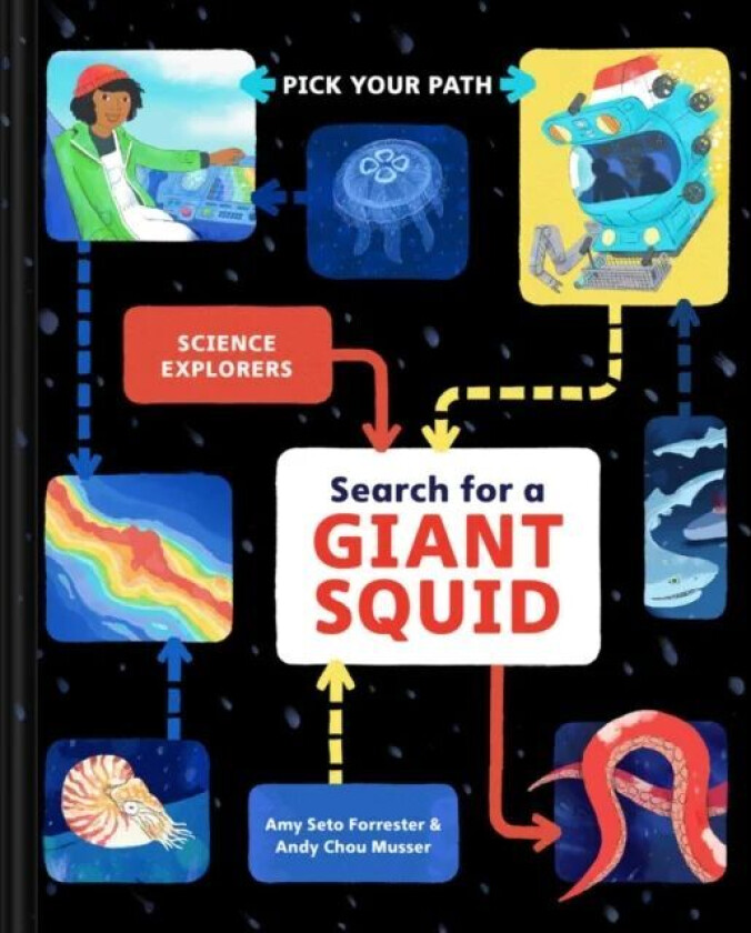 Search for a Giant Squid av Amy Seto Forrester
