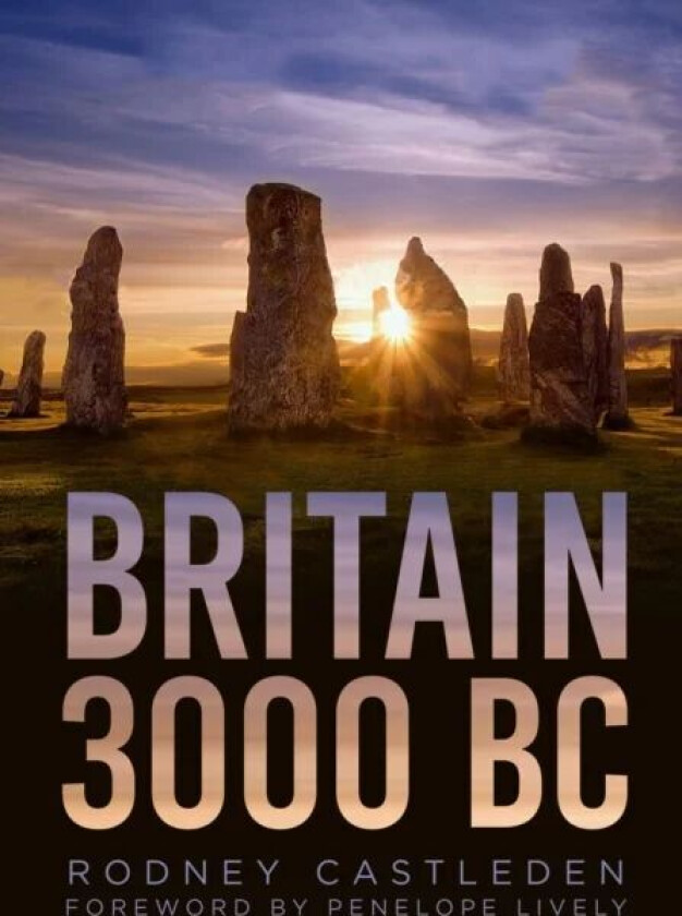 Britain 3000 BC av Rodney Castleden