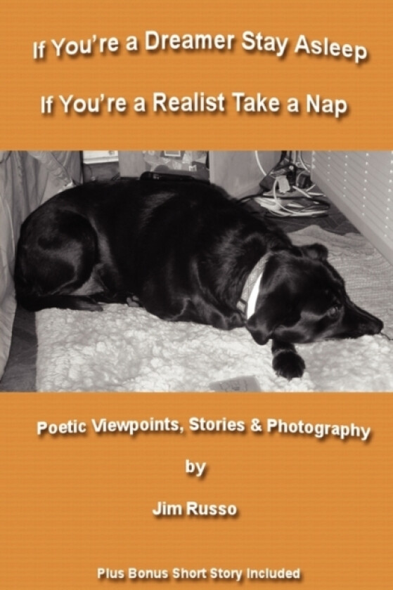 If You're a Dreamer Stay Asleep If You're a Realist Take a Nap av Jim Russo (Paperback)