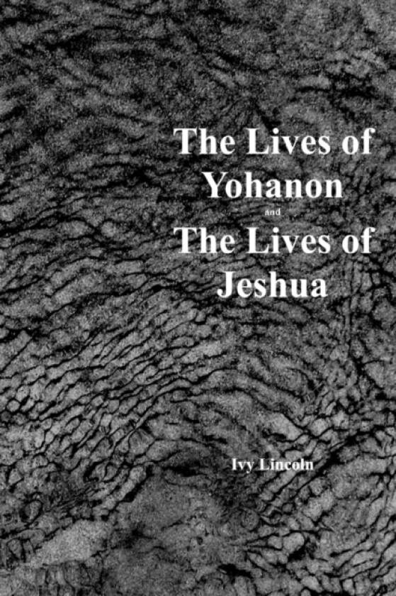 The Lives Of Yohanon And The Lives Of Jeshua av Ivy Lincoln (Paperback)