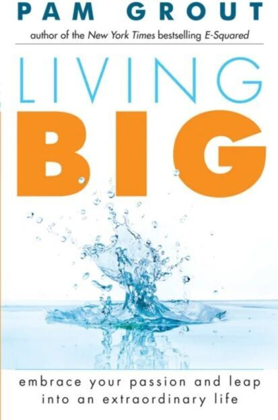 Living Big av Pam Grout