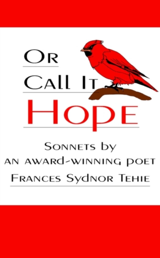 Or Call It Hope av Frances Sydnor Tehie (Paperback)