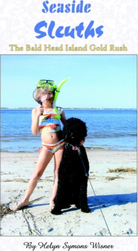 Seaside Sleuths av Helyn Symons Wisner (Paperback)